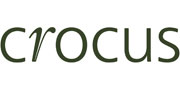 Crocus, garden plants, outdoor furniture, garden machinery and tools.